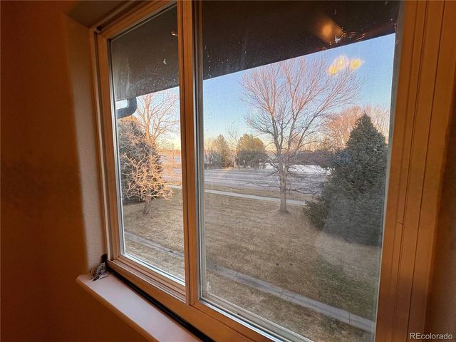 381 Buffalo Dr A, Windsor, CO 80550