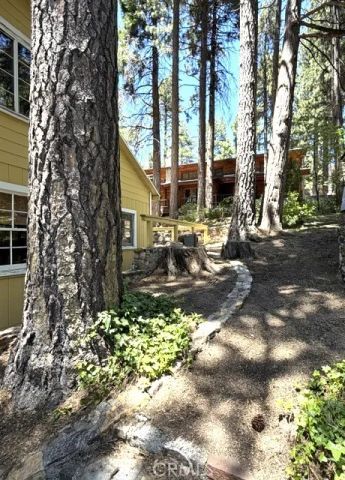 31858 Hollow Way, Running Springs, CA 92382