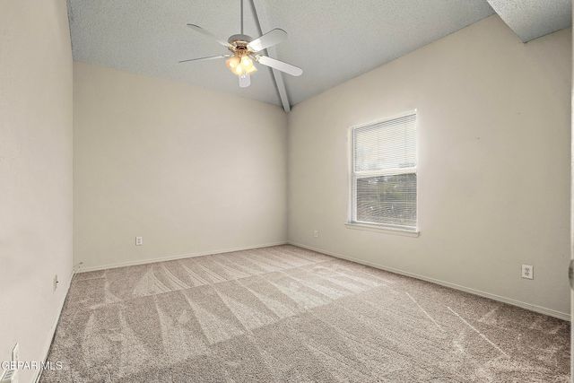 1315 OLGA MAPULA Drive, El Paso, TX 79936