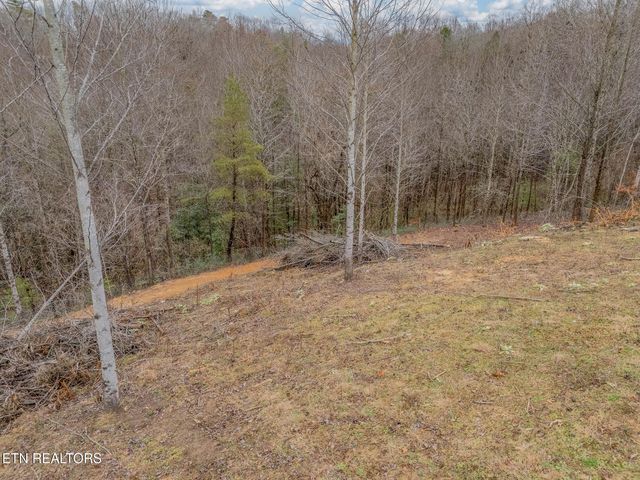 117 Delia Young Lane, Wartburg, TN 37887