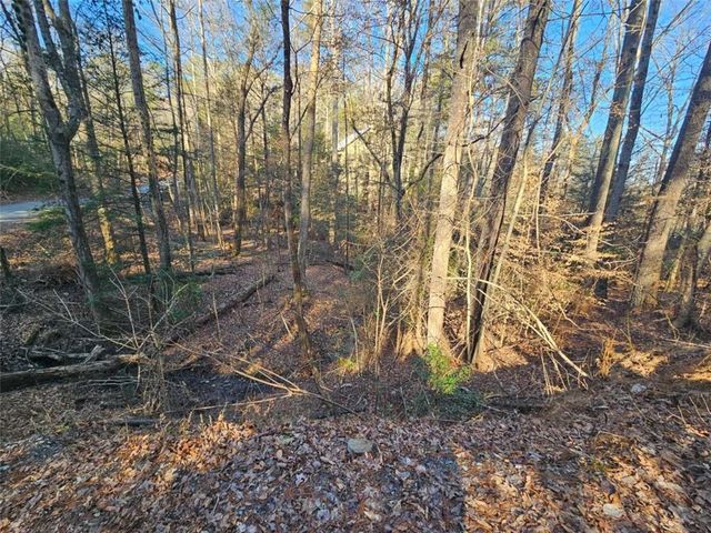 LT 162 Nexus Drive, Ellijay, GA 30540