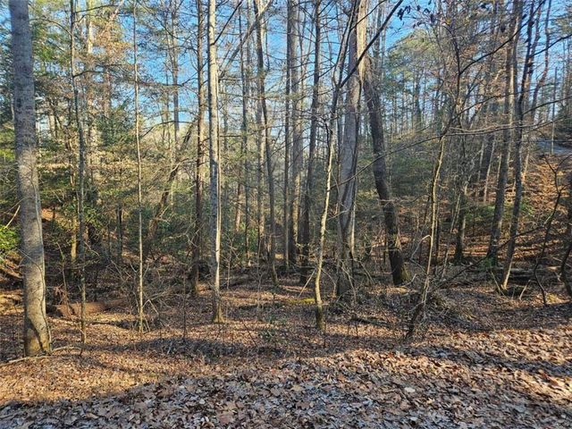 LT 162 Nexus Drive, Ellijay, GA 30540