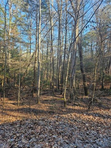 LT 162 Nexus Drive, Ellijay, GA 30540