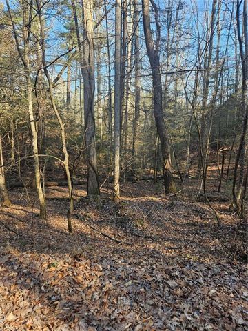 LT 162 Nexus Drive, Ellijay, GA 30540