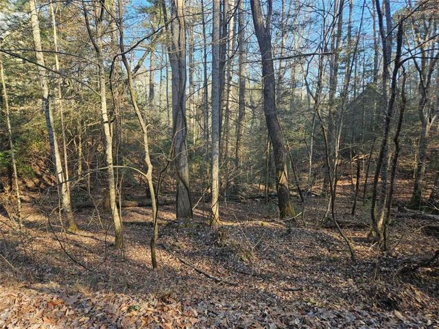 LT 162 Nexus Drive, Ellijay, GA 30540