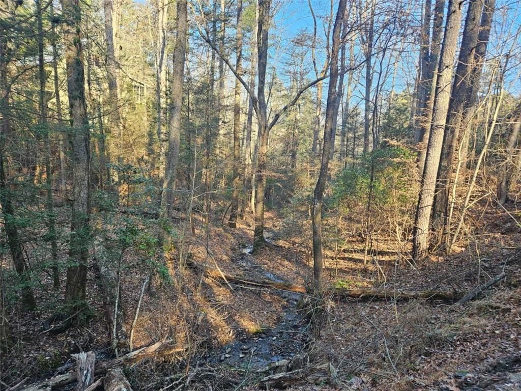 LT 162 Nexus Drive, Ellijay, GA 30540