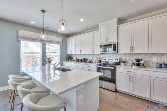 29375 Satilla Circle, Madison, AL 35756