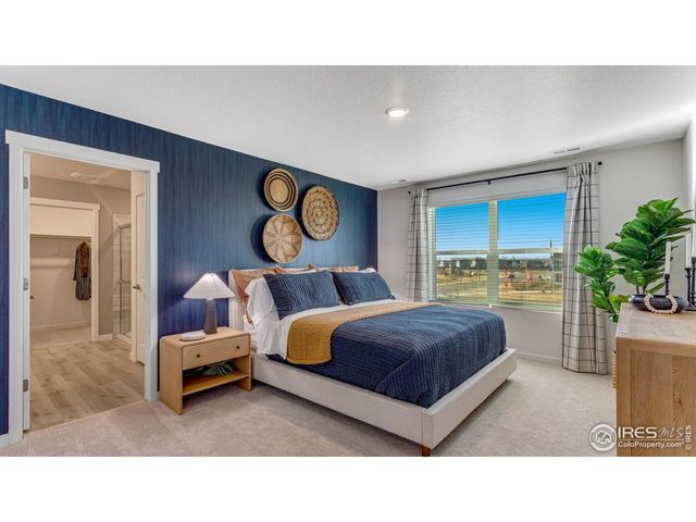 865 Trumpet Ln, Windsor, CO 80550