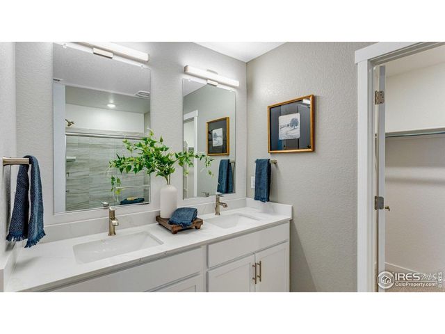 865 Trumpet Ln, Windsor, CO 80550