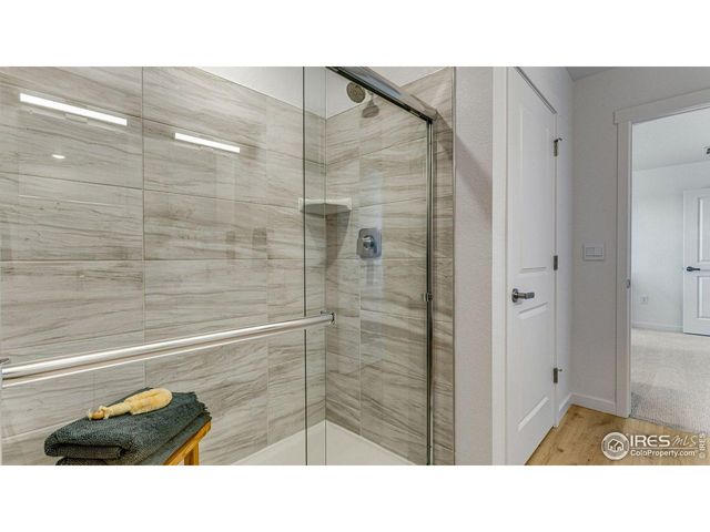 865 Trumpet Ln, Windsor, CO 80550