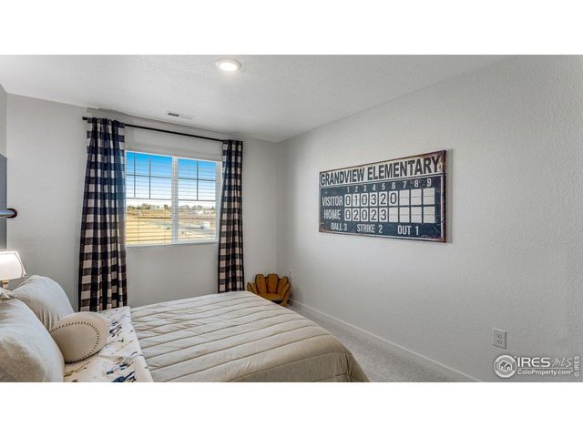 865 Trumpet Ln, Windsor, CO 80550