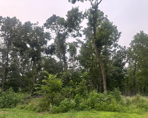 21533 Shady Black Oak, Decatur, AR 72722