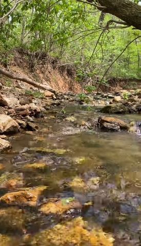 21533 Shady Black Oak, Decatur, AR 72722