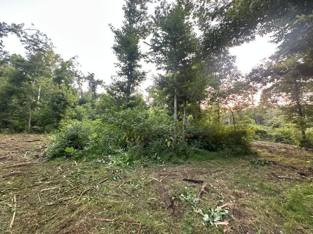 21533 Shady Black Oak, Decatur, AR 72722