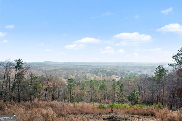 6900 Scenic Heights, Manchester, GA 31816