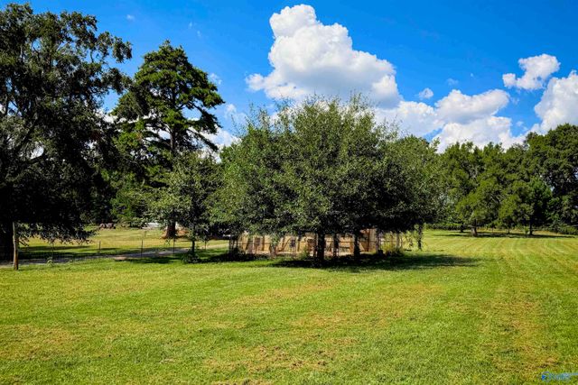 17169 County Road 460, Moulton, AL 35650
