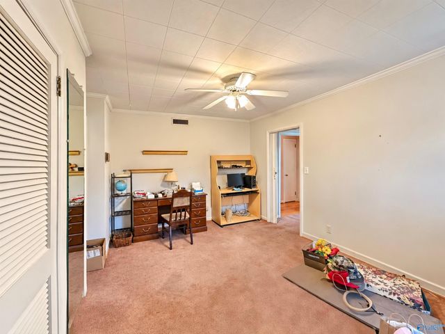 17169 County Road 460, Moulton, AL 35650