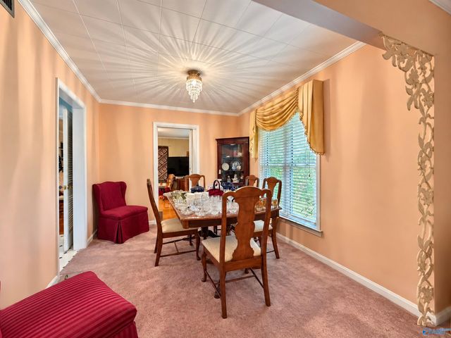 17169 County Road 460, Moulton, AL 35650