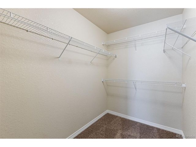 7916 Lightwood Way, Colorado Springs, CO 80908