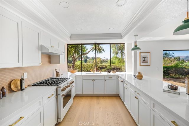 32011 Paseo Amante, San Juan Capistrano, CA 92675