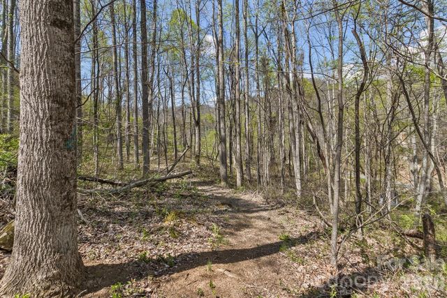 53 Benfield Road, Weaverville, NC 28787