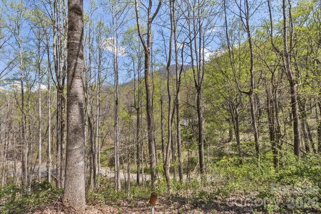 53 Benfield Road, Weaverville, NC 28787