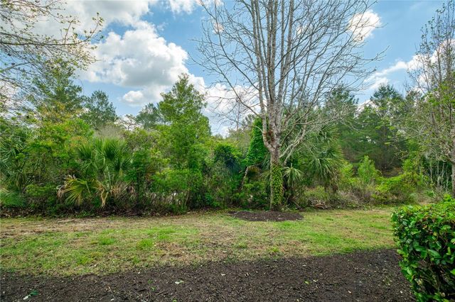 873 ASSEMBLY COURT, Reunion, FL 34747