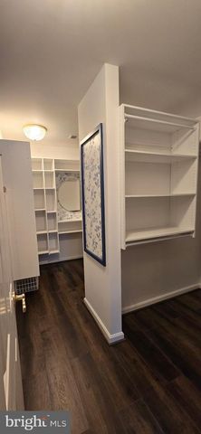 419 OSPREY CIR, Cambridge, MD 21613