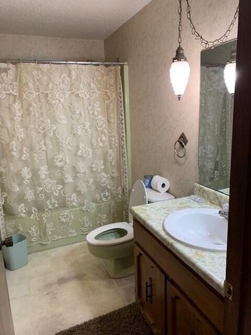 115 Shady Maple Road, Blue Eye, MO 65611