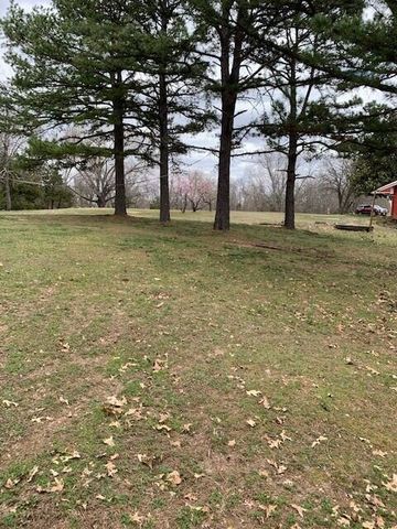 115 Shady Maple Road, Blue Eye, MO 65611
