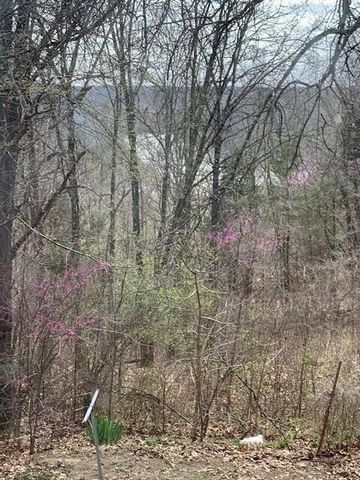 115 Shady Maple Road, Blue Eye, MO 65611