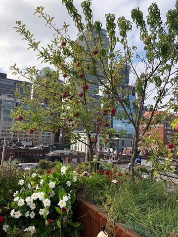 230 Commonwealth Ave, Boston, MA 02116