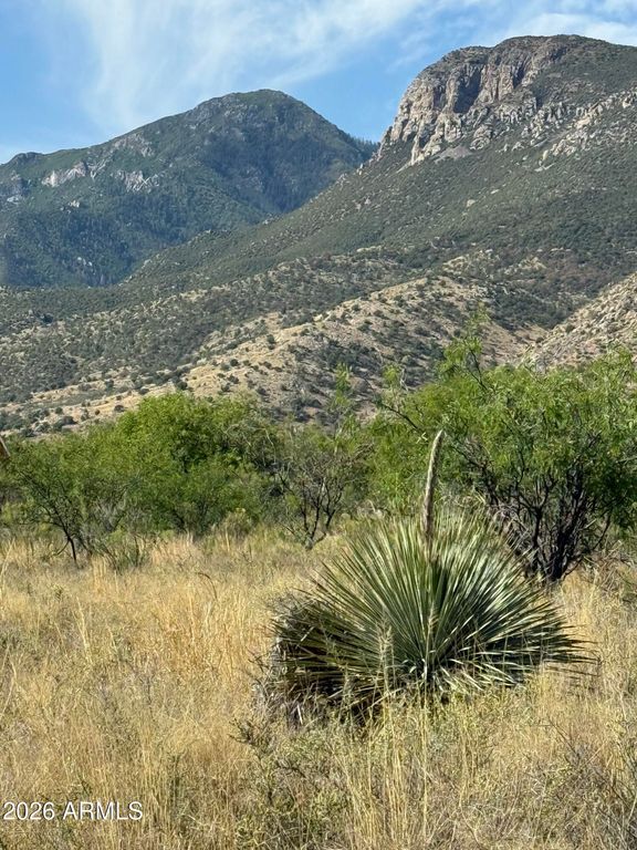 Image 25 of property listing at TBD E Keeling Road D, Hereford, AZ 85615