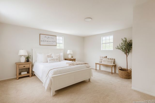 4207 Waterwood Pass, Elmendorf, TX 78112