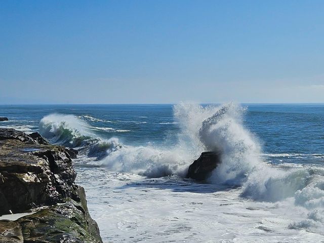 1311 Delaware Avenue, Santa Cruz, CA 95060