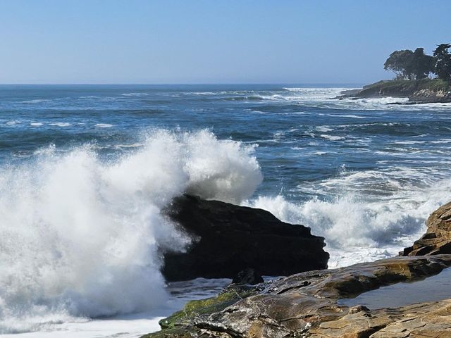 1311 Delaware Avenue, Santa Cruz, CA 95060