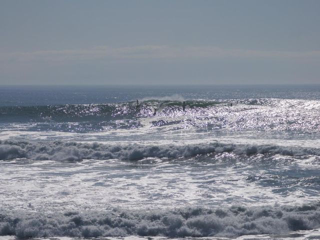 1311 Delaware Avenue, Santa Cruz, CA 95060