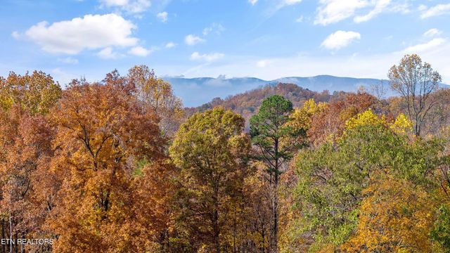 235 Davidson Hollow Rd, Heiskell, TN 37754