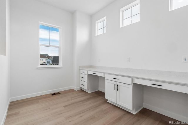 1715 Green Fern Point, Castle Rock, CO 80104