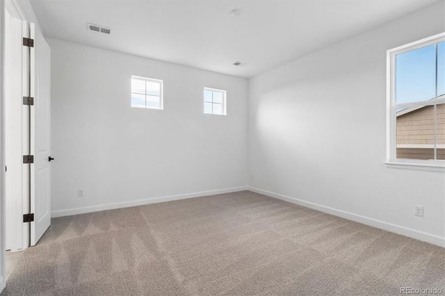 1715 Green Fern Point, Castle Rock, CO 80104