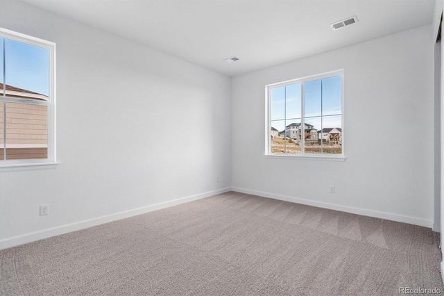 1715 Green Fern Point, Castle Rock, CO 80104