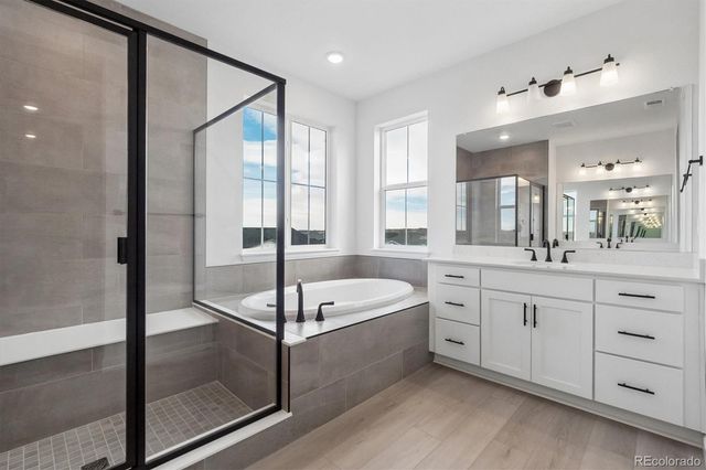 1715 Green Fern Point, Castle Rock, CO 80104