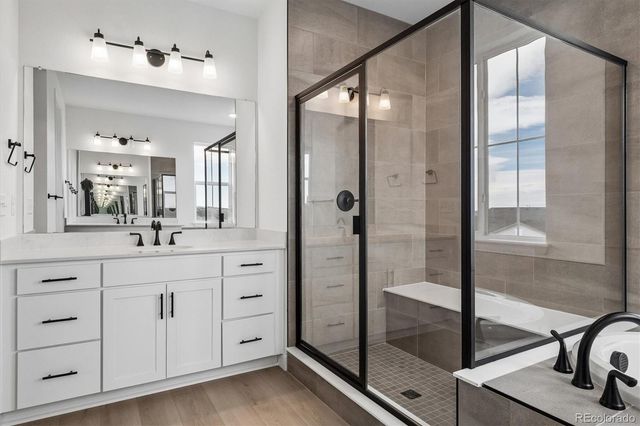 1715 Green Fern Point, Castle Rock, CO 80104
