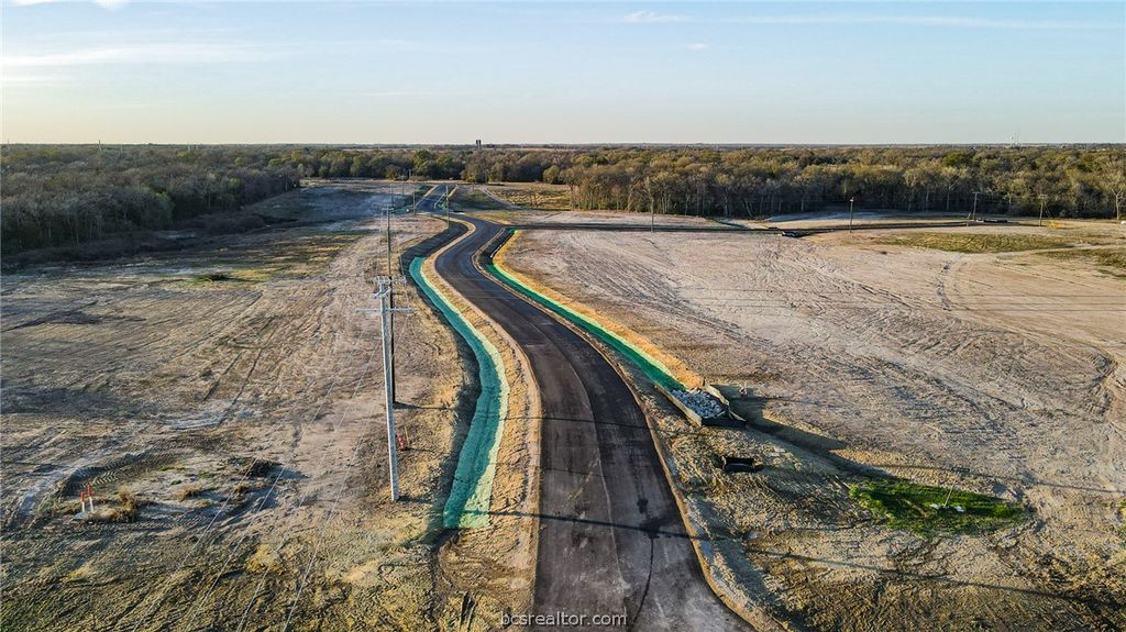 0010 H.L. Young Boulevard, Bryan, TX 77803 — photo 4