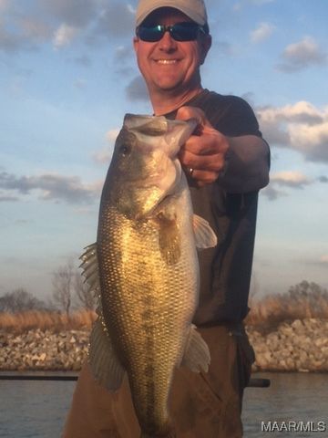 357 Heron Hill, Pike Road, AL 36064