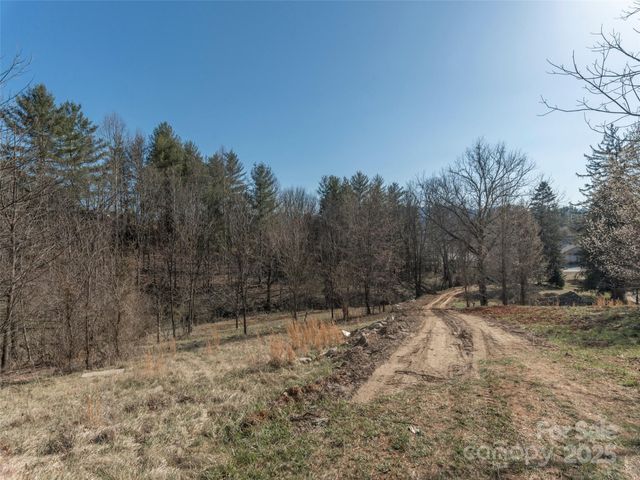 74 Buckeye Cove Road, Canton, NC 28716