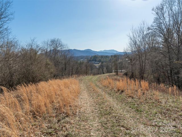 74 Buckeye Cove Road, Canton, NC 28716