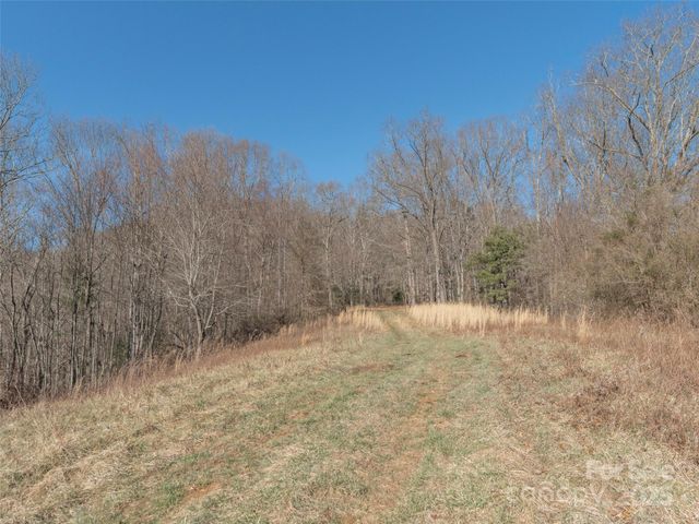 74 Buckeye Cove Road, Canton, NC 28716