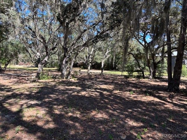 819 E Wacker Street, Hernando, FL 34442