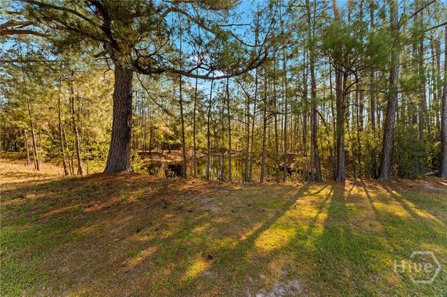 6829 Ga Highway 17 S, Bloomingdale, GA 31302